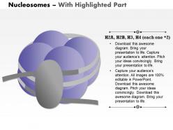 0714 nucleosomes medical images for powerpoint