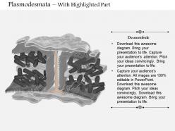 0714 plasmodesmata medical images for powerpoint