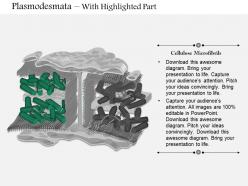 0714 plasmodesmata medical images for powerpoint
