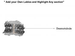0714 plasmodesmata medical images for powerpoint