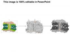 0714 plasmodesmata medical images for powerpoint