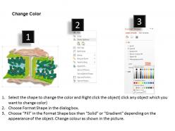 0714 plasmodesmata medical images for powerpoint