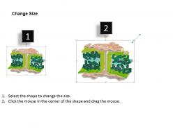 0714 plasmodesmata medical images for powerpoint