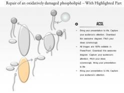 0714 repair of an oxidatively damaged phospholipid medical images for powerpoint