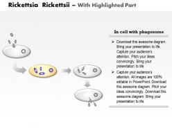 0714 rickettsia rickettsia medical images for powerpoint
