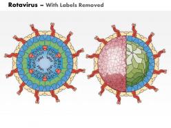 0714 rotavirus medical images for powerpoint