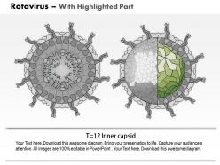 0714 rotavirus medical images for powerpoint