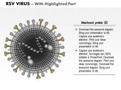 0714 rsv virus medical images for powerpoint