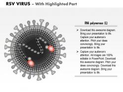 0714 rsv virus medical images for powerpoint