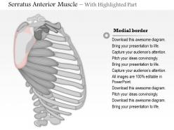 82617525 style medical 1 musculoskeletal 1 piece powerpoint presentation diagram infographic slide