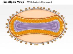 0714 smallpox virus medical images for powerpoint