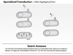 0714 specialized transduction medical images for powerpoint
