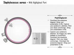 0714 staphylococcus aureus medical images for powerpoint