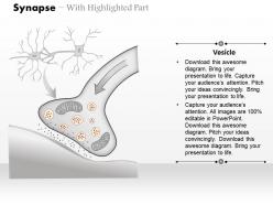 0714 synapse medical images for powerpoint