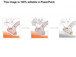 0714 synapse medical images for powerpoint