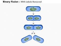 0714 the process of binary fission medical images for powerpoint
