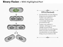 0714 the process of binary fission medical images for powerpoint
