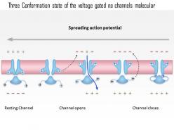 0714 three conformation state of the voltage gated na channel medical images for powerpoint
