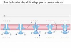0714 three conformation state of the voltage gated na channel medical images for powerpoint