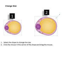 90747783 style medical 3 molecular cell 1 piece powerpoint presentation diagram template slide