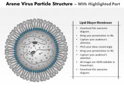 0814 arena virus particle structure medical images for powerpoint
