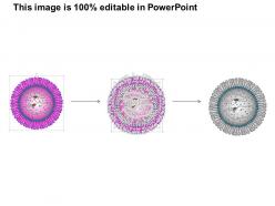 0814 arena virus particle structure medical images for powerpoint