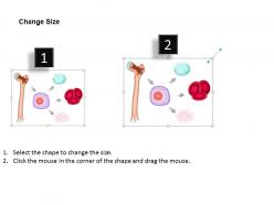 0814 blood cells medical images for powerpoint