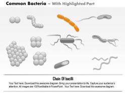 0814 common bacteria infecting human medical images for powerpoint