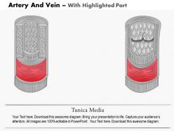 0814 diagram of artery and vein medical images for powerpoint