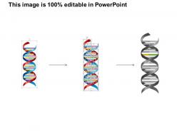 97156913 style medical 3 biology 1 piece powerpoint presentation diagram template slide