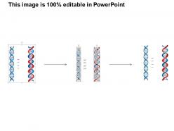 0814 dna molecule medical images for powerpoint