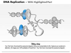 0814 dna replication medical images for powerpoint