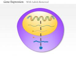 0814 gene expression medical images for powerpoint