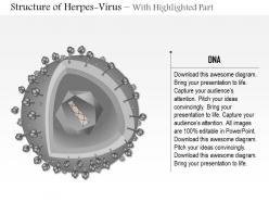0814 herpes virus medical images for powerpoint