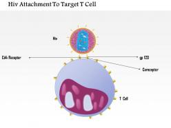 0814 hiv attachment to target t cell medical images for powerpoint