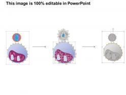 0814 hiv attachment to target t cell medical images for powerpoint