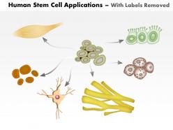0814 human stem cell applications medical images for powerpoint