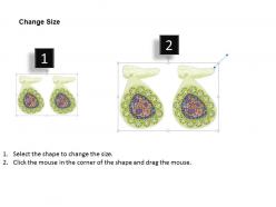 0814 islets of langerhans and diabetes mellitus type 1 medical images for powerpoint