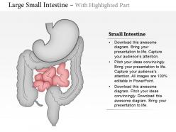 60059486 style medical 1 digestive 1 piece powerpoint presentation diagram template slide
