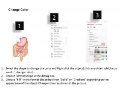 0814 large and small intestine medical images for powerpoint