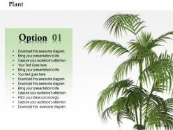 0814 live plant for nature environment graphic for powerpoint