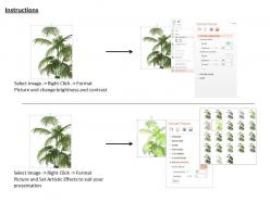 0814 live plant for nature environment graphic for powerpoint
