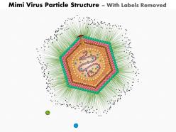 0814 mimi virus particle structure medical images for powerpoint