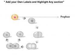 0814 mitosis cell division medical images for powerpoint