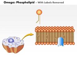0814 omega3 phospholipid medical images for powerpoint