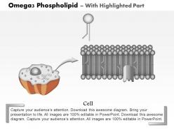 0814 omega3 phospholipid medical images for powerpoint