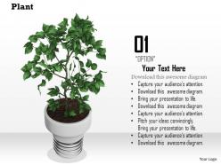 0814 plant home decoration environment graphic for powerpoint