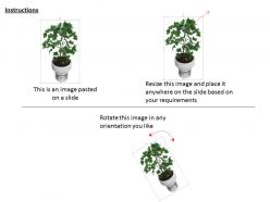 0814 plant home decoration environment graphic for powerpoint