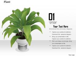 0814 Plant In Pot For Environment Natural Beauty Concepts Graphics For Powerpoint