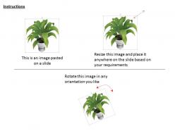 0814 plant in pot for environment natural beauty concepts graphics for powerpoint